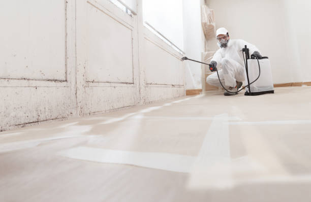 24/7 Emergency Black Mold Remediation experts in Parker Ford, PA