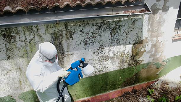 Top rated local Black Mold Remediation specialists in Parker Ford, PA